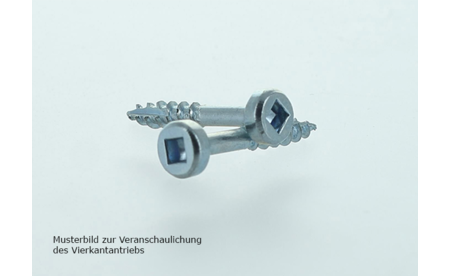 Schneidschrauben Grob 25 mm 500 Stk - sautershop