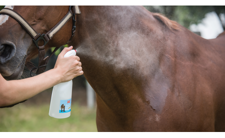 Ballistol Stichfrei Animal Pump-Spray, 100 ml BAL-26833 2